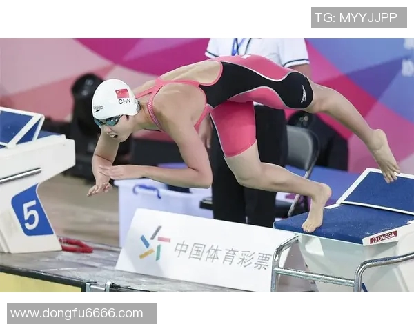 上海排球队运营革新之路：探索新模式提升竞技水平与市场影响力