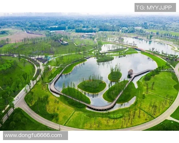 成都乒乓球队转型升级之路探索与未来发展展望 成都乒乓球队转型升级之路探索与未来发展展望