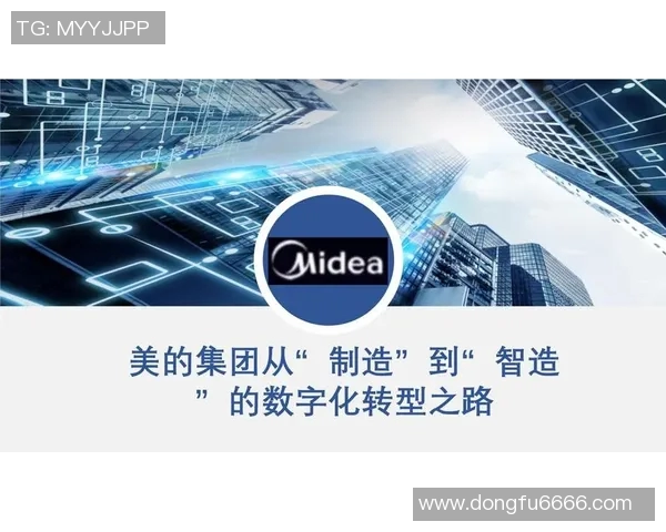 杭州排球队的转型之路与未来发展趋势深度解析 杭州排球队的转型之路与未来发展趋势深度解析
