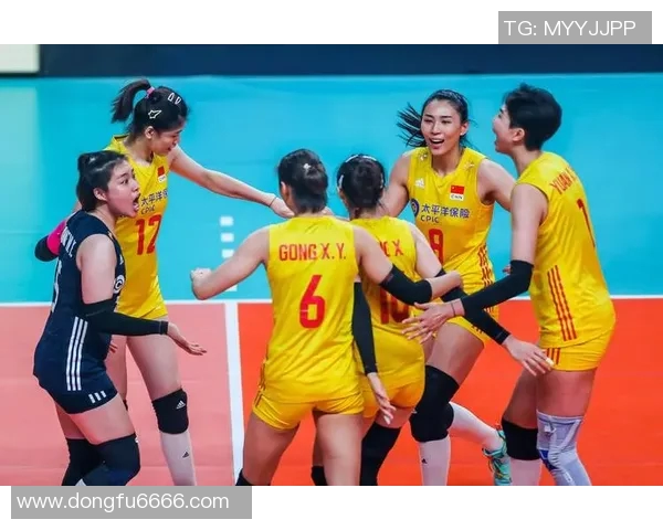 深圳排球队战术实力强劲荣登全国排球战术排行榜第九位