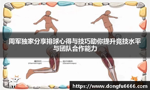 EVO视讯官方网站