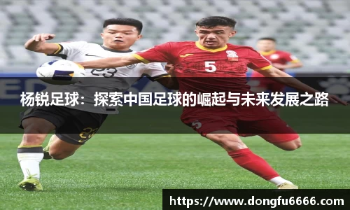 杨锐足球：探索中国足球的崛起与未来发展之路